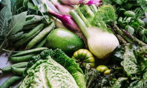 Eine Sammlung von grünem Gemüse beantwortet die Frage: Warum Bio?